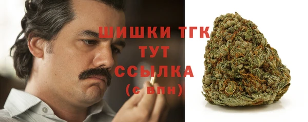 мдпв Волосово