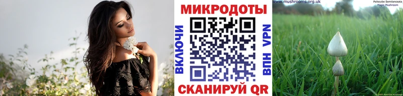 купить наркотик МЕГА Псилоцибиновые грибы ЛСД Гаврилов Посад